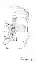 Fig. 05 - Hair trimmer with cutting guide
