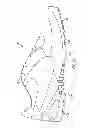 Fig. 06 - Article of footwear for soccer