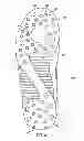 Fig. 07 - Article of footwear for soccer