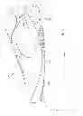 Fig. 09 - Article of footwear for soccer