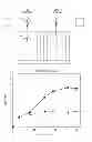 Fig. 01 - COMPOSITIONS AND METHODS FOR INDUCING PREFERENTIAL ROOT TROPISM