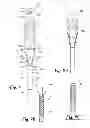 Fig. 13 - COMPRESSED PACKAGED ARTICLES AND METHODS OF MAKING, TRANSPORTING, SHIPPING AND USING SAME