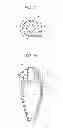 Fig. 14 - Filter