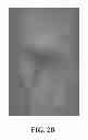Fig. 07 - Hybrid nanomaterial electrode and fabrication method thereof