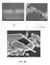 Fig. 09 - Hybrid nanomaterial electrode and fabrication method thereof