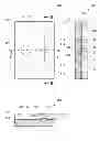 Fig. 01 - Fluid treatment device and method for treating fluid