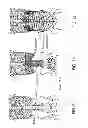 Fig. 02 - System, apparatus, and method for promoting usage of core muscles and other applications