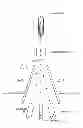 Fig. 09 - Microchip and particle analyzing apparatus