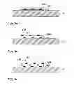 Fig. 07 - Method and device for hot stamping