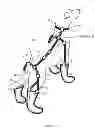 Fig. 02 - Harness system for pets with mobility handicap