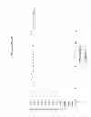 Fig. 02 - Diesel fuel compositions