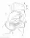 Fig. 28 - Vent system for CPAP patient interface used in treatment of sleep disordered breathing