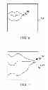 Fig. 07 - METHOD FOR MOVING COLOR-MAKEUP TOOL OF AUTOMATIC COLOR-MAKEUP MACHINE