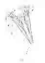 Fig. 03 - Cleaning Device for Objects in a Body of Water