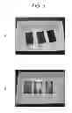 Fig. 04 - PHOTOELECTRIC CONVERSION ELEMENT, METHOD FOR MANUFACTURING THE SAME, ELECTRONIC APPARATUS, COUNTER ELECTRODE FOR PHOTOELECTRIC CONVERSION ELEMENT, AND ARCHITECTURE