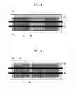 Fig. 03 - SOLAR CELL AND MANUFACTURING METHOD THEREOF