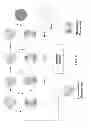 Fig. 03 - ALD process window combinatorial screening tool