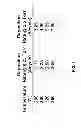 Fig. 04 - ALD process window combinatorial screening tool