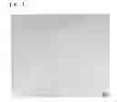 Fig. 02 - Copper alloy sheet, and method of producing copper alloy sheet