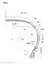 Fig. 02 - Pneumatic tire