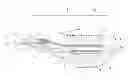 Fig. 01 - Land based or floating wastewater evaporator