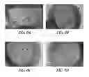 Fig. 07 - Hollow hydrogel capsules and methods of using the same