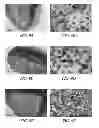 Fig. 08 - Hollow hydrogel capsules and methods of using the same