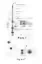 Fig. 02 - Wireline apparatus