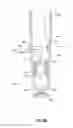 Fig. 08 - Dry sprinkler