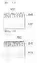 Fig. 07 - HEAT RADIATING SUBSTRATE AND MANUFACTURING METHOD THEREOF