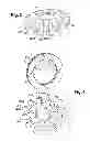 Fig. 03 - Disc brake for a vehicle and method for assembling the components thereof