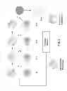 Fig. 03 - High Deposition Rate Chamber with Co-Sputtering Capabilities