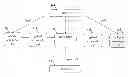 Fig. 01 - Methods and apparatuses for filtering water fluid by screening ionic minerals