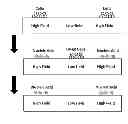 Fig. 01 - Nucleic acid sample preparation