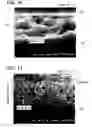 Fig. 09 - Surface treating method of negative electrode for magnesium secondary battery, negative electrode for magnesium secondary battery, and magnesium secondary battery