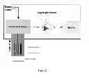 Fig. 03 - ELECTROCHEMICAL COMPETITION SENSOR