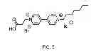 Fig. 06 - Detection of defects in solid-polymer coatings using reduction-oxidation probes