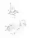 Fig. 03 - DISPOSABLE FOOTWEAR