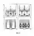 Fig. 04 - DYNAMIC EQUILIBRIUM SEPARATION, CONCENTRATION, AND MIXING APPARATUS AND METHODS