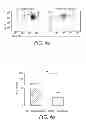 Fig. 06 - Diagnosing and treating inflammatory diseases