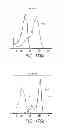 Fig. 131 - Diagnosing and treating inflammatory diseases