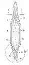 Fig. 01 - Squeezable dispensing package and method