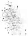 Fig. 100 - Surgical instrument comprising a firing system including a compliant portion