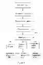 Fig. 06 - System and method for processing objects having chemical contaminates