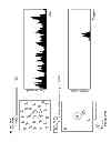 Fig. 07 - Optical analysis device, optical analysis method and computer program for optical analysis using single light-emitting particle detection
