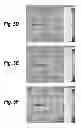 Fig. 07 - Optical Antenna Enhanced Infrared Detector