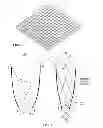 Fig. 05 - Gamma ray scintillation detector preserving the original scintillation light distribution
