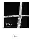 Fig. 02 - Methods for detecting defects in inorganic-coated polymer surfaces