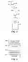 Fig. 06 - DEVICE, APPARATUS AND METHOD