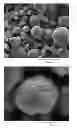 Fig. 01 - Positive electrode material having a size dependent composition